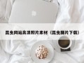中卫昆虫网站高清照片素材（昆虫图片下载）
