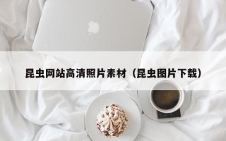 中卫昆虫网站高清照片素材（昆虫图片下载）